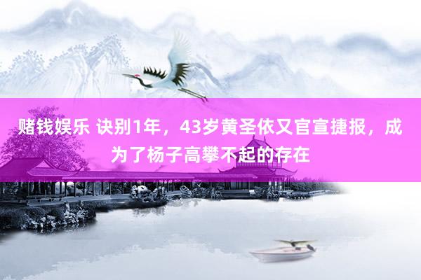 赌钱娱乐 诀别1年，43岁黄圣依又官宣捷报，成为了杨子高攀不起的存在
