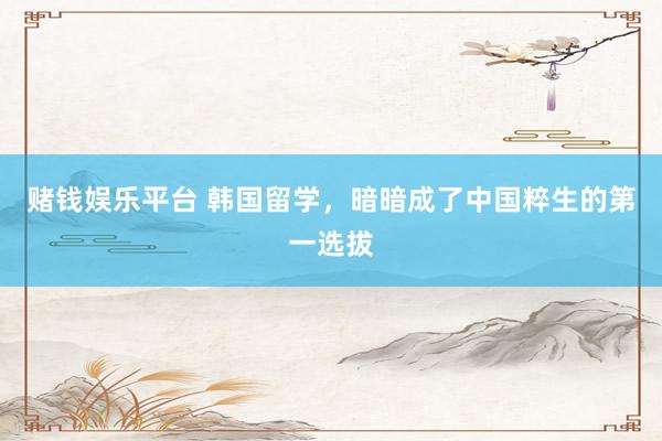 赌钱娱乐平台 韩国留学，暗暗成了中国粹生的第一选拔