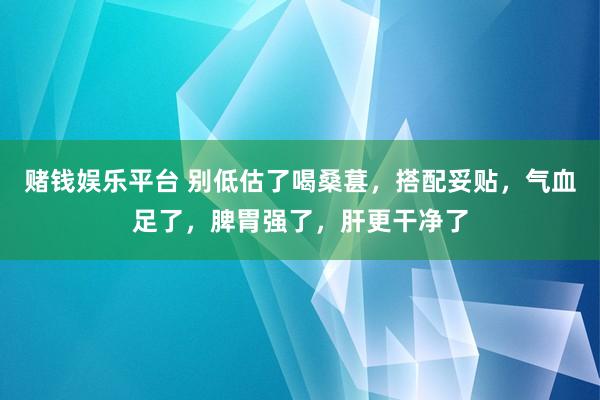 赌钱娱乐平台 别低估了喝桑葚，搭配妥贴，气血足了，脾胃强了，肝更干净了